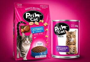 gatos