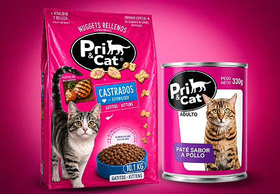 Gatos